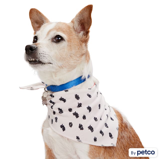 Petco dog bandana online