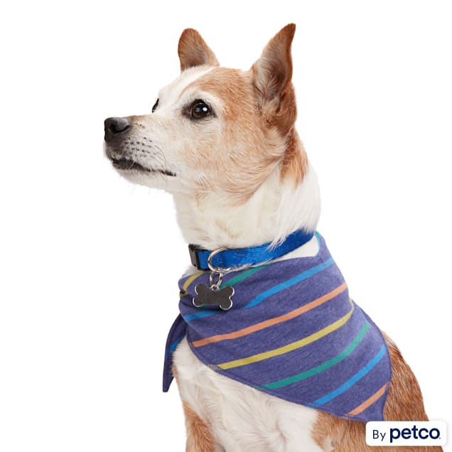 Petco bandana discount