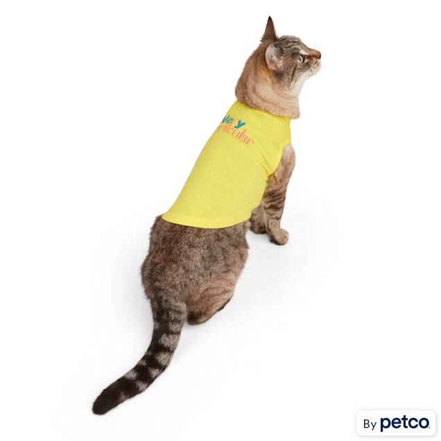 Cat wearing t shirt sales