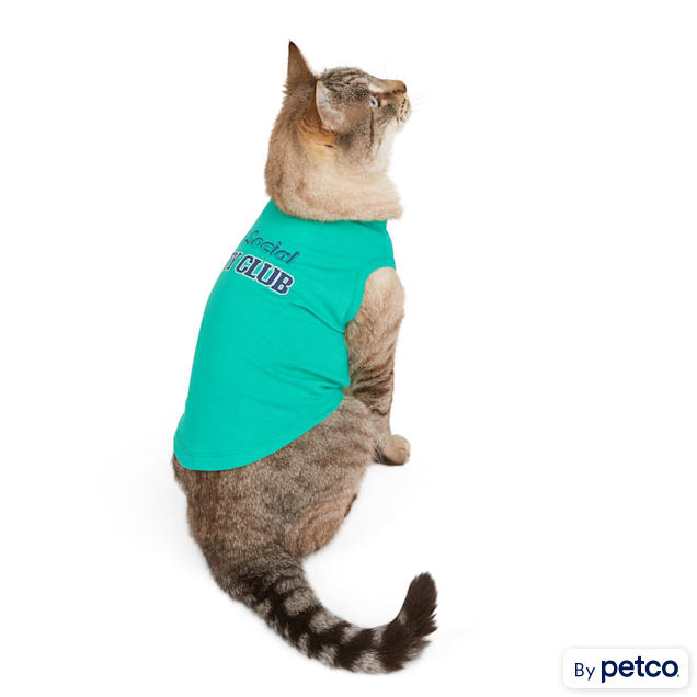 Petco cat on sale clothes