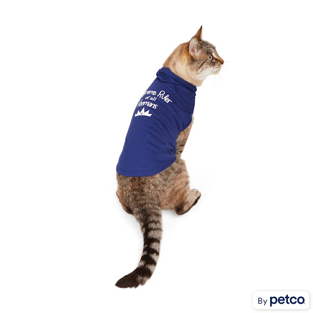 Hoodie you can top put your cat in