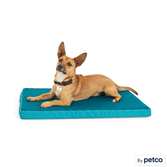 Pad for dog crate outlet