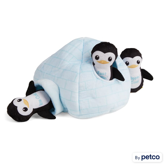 Petco igloo cheap