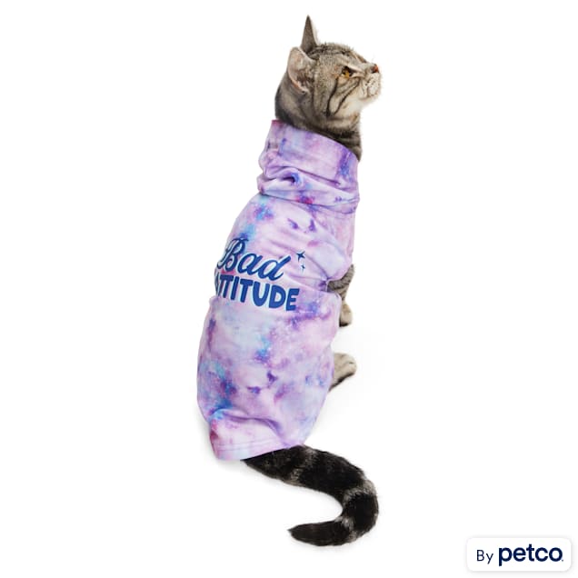 In the know cat hoodie 2025