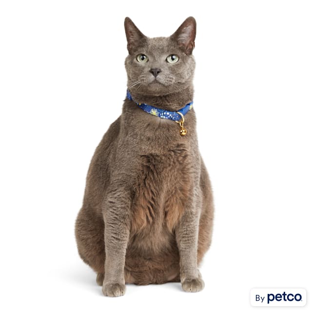 Celestial hot sale flea collar