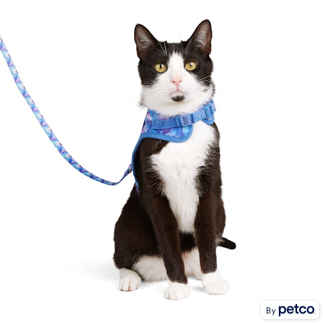Petco cat hot sale leash