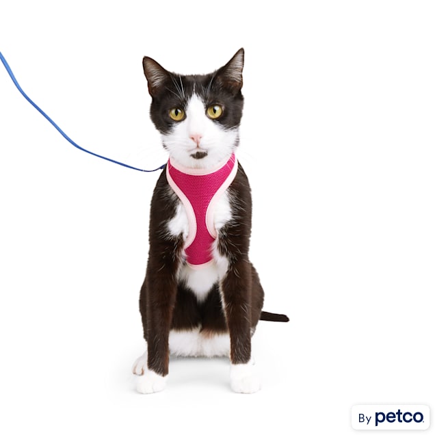 Premier Pet Cat Harness & Leash - Best for Cats 5 - 12 lb - Adjustable