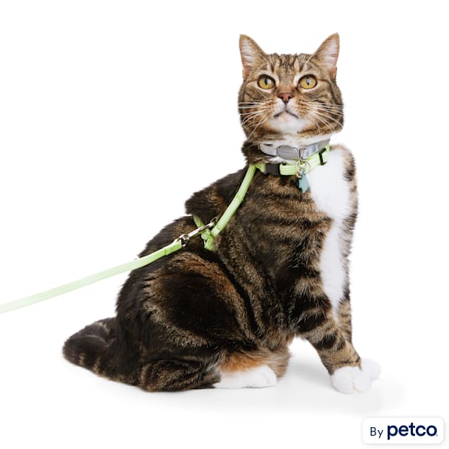 YOULY Green Glow in the Dark Cat Harness Lead Petco