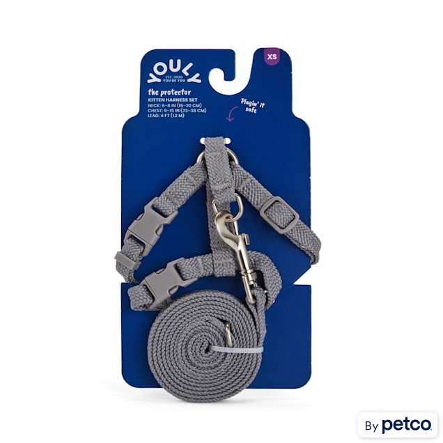 Kitten deals harness petco