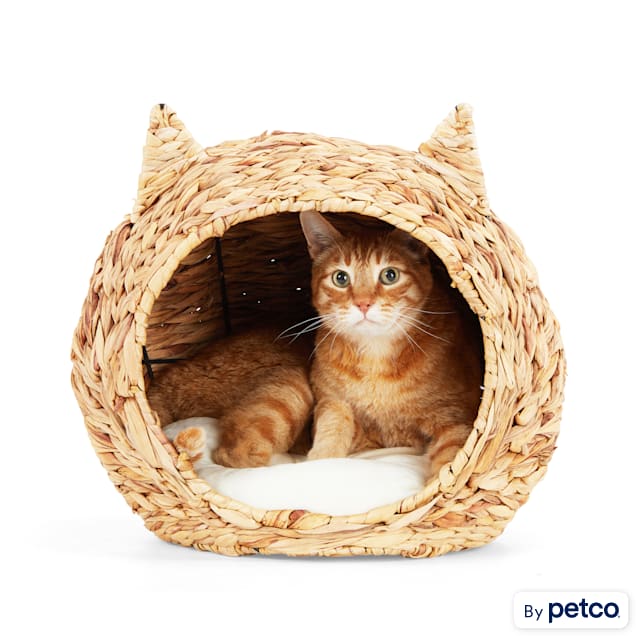 Straw for Cat Shelters: Ultimate Guide