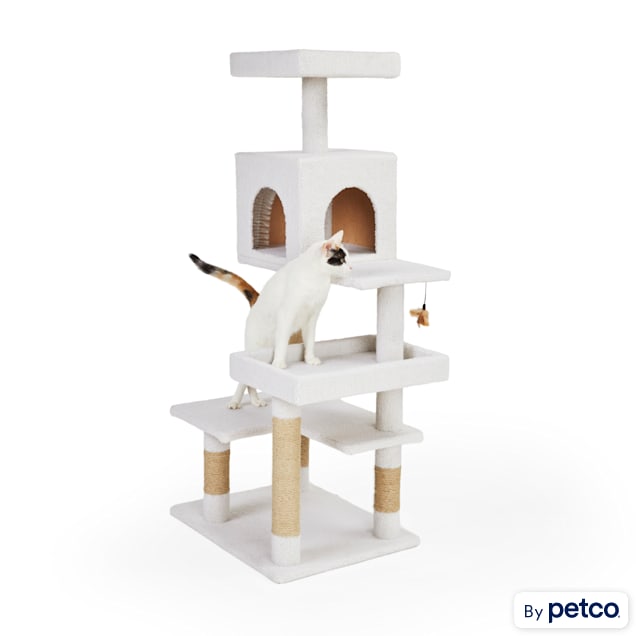 Petco cat post discount