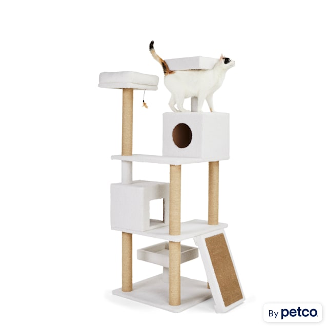 Petco cat post 2025