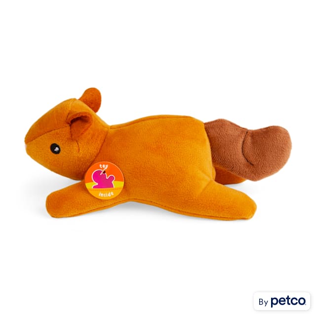 Leaps & Bounds Blind Plush Squirrel Dog Toy, Petco