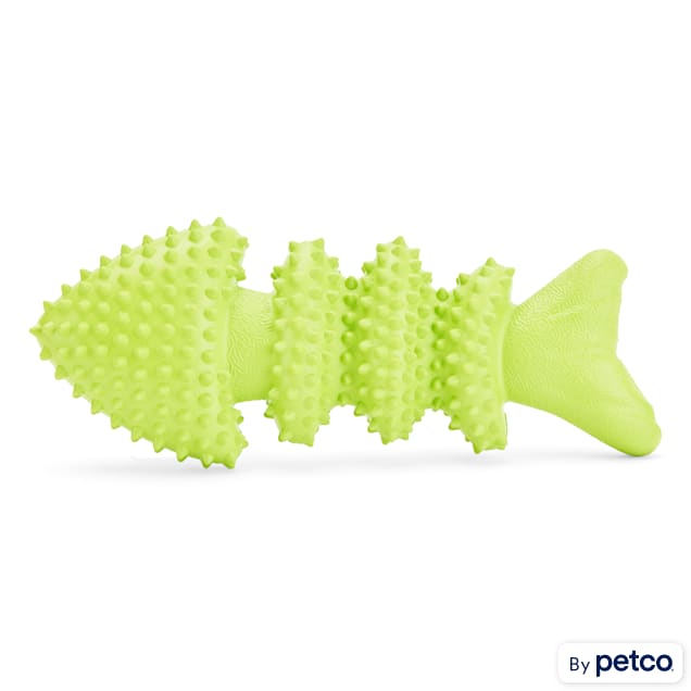Leaps & Bounds Rubber Fish Dog Toy, Medium - Carousel image #1