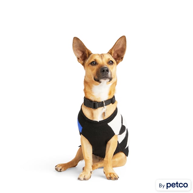 Petco store dog sweaters