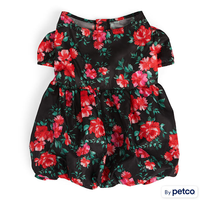 Dog dress from i feel pretty sale