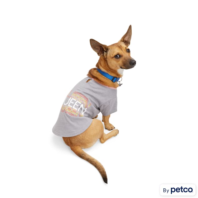 Petco dog t shirts online