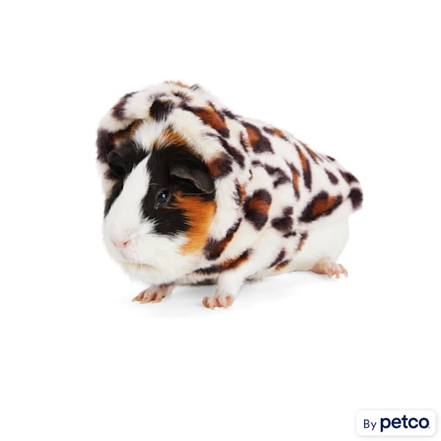 YOULY Fur Hoodie Small Animal Cozy Coat - Carousel image #1
