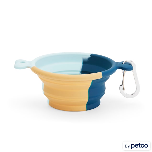 Collapsible dog bowl petco hotsell