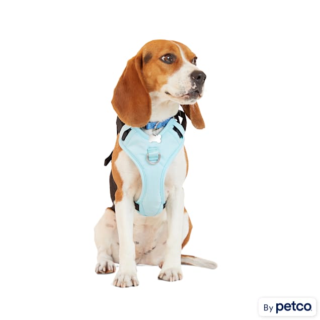 Dog car harness discount petco