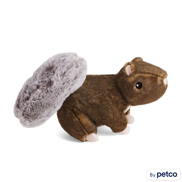 Wildlife Squirrel Dog Toy