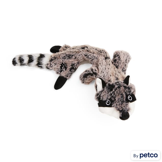 Leaps & Bounds Wildlife Raccoon Dog Toy, Small | Petco