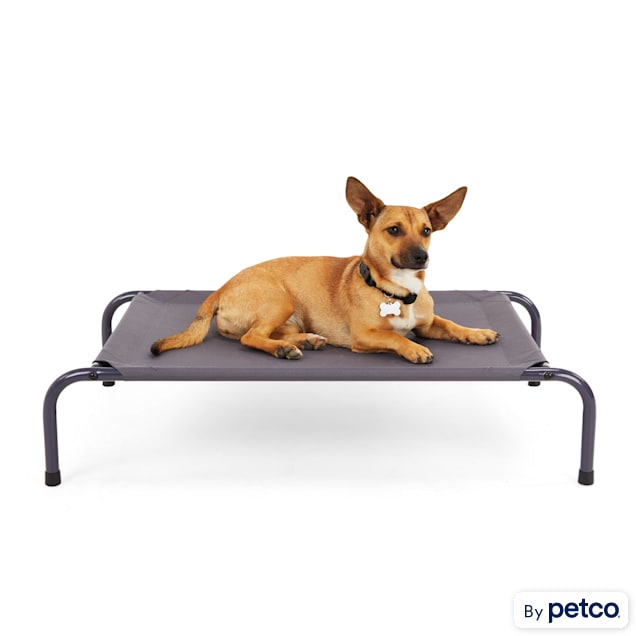Petco outdoor dog bed top