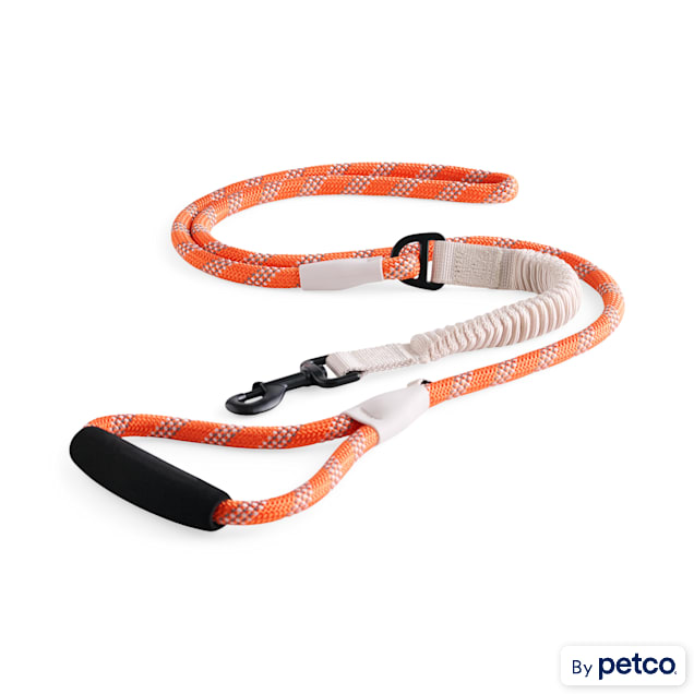 Backcountry & Petco 6ft Orange Shock Absorbing Dog Lead