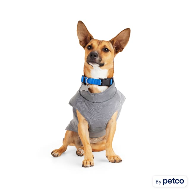 Backcountry x Petco Black Reflective Dog Harness Jacket X Small