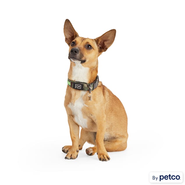 Reddy Green Camo LED Dog Collar Small