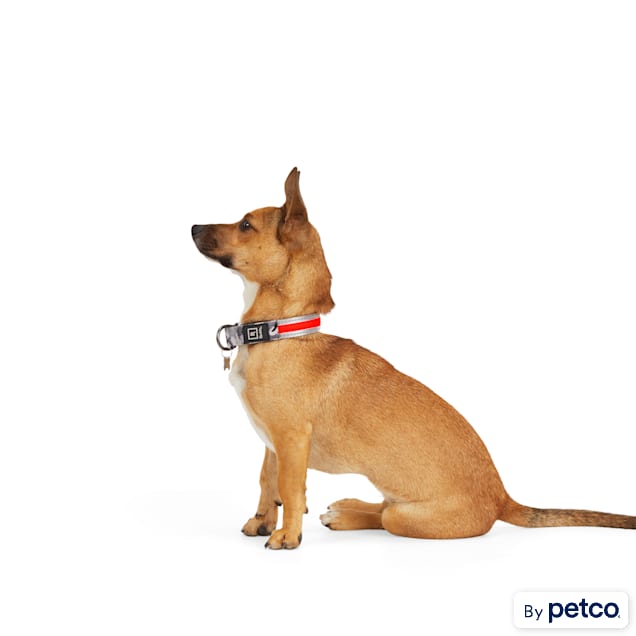 Petco light sales up dog collar