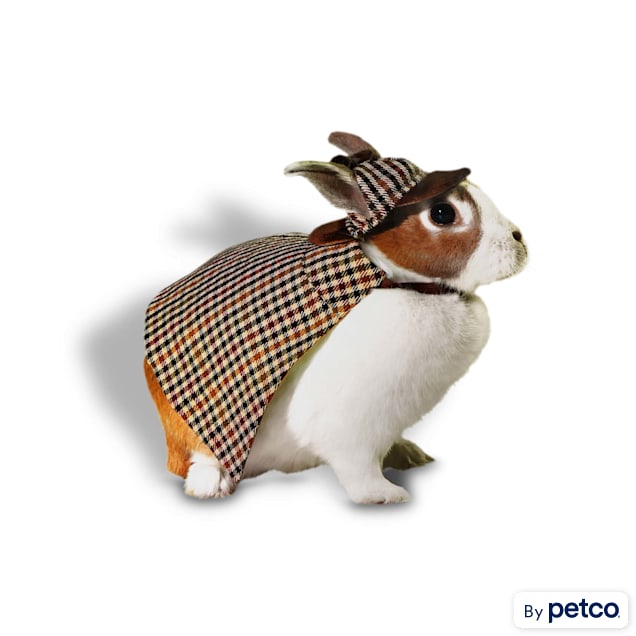 Bunny prices petco clearance