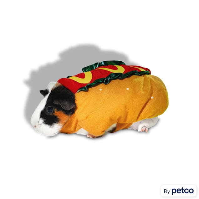 Guinea pig clothes petco discount