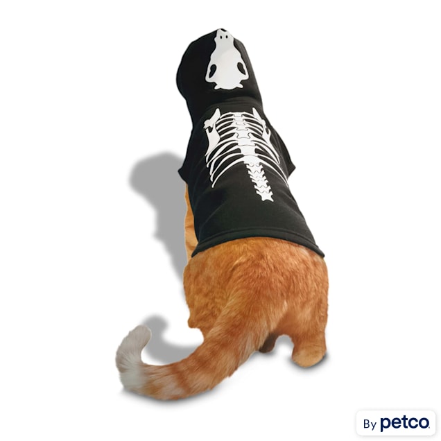 Cat hoodie for cat best sale