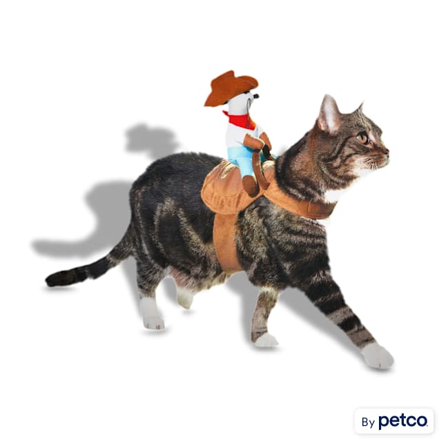 Cat best sale cowboy costume