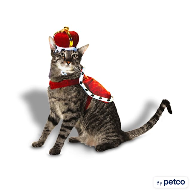 Bootique King For a Day Costume for Cats X Small Petco