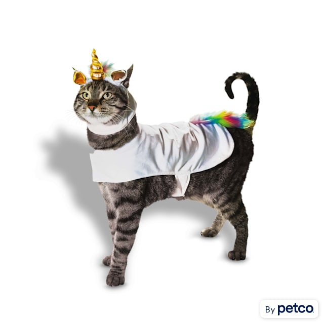 Bootique Caticorn Costume for Cats X Small Petco