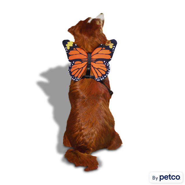 Wing harness store for dogs