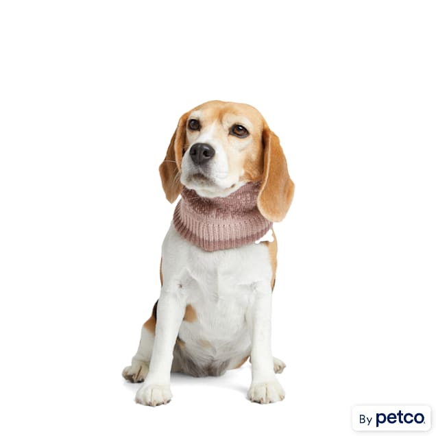 Petco dog clearance scarf