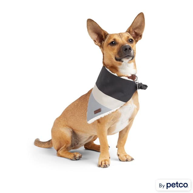 Petco bandana hotsell