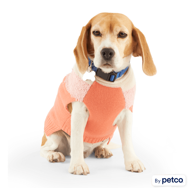 YOULY Pink Chevron Dog Sweater, XLarge Petco