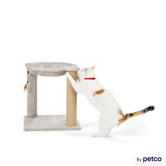 Petco cat hammock 2025