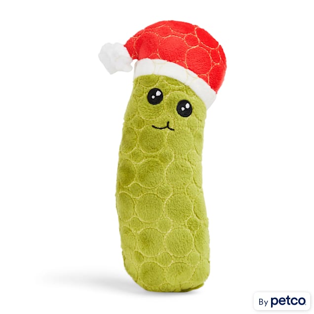 Pickle shop dog toy