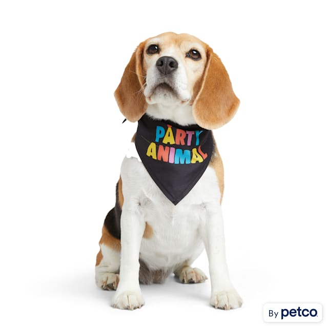 More and Merrier Party Animal Dog Bandana Small Medium Petco