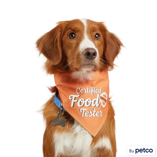 Petco top dog bandana