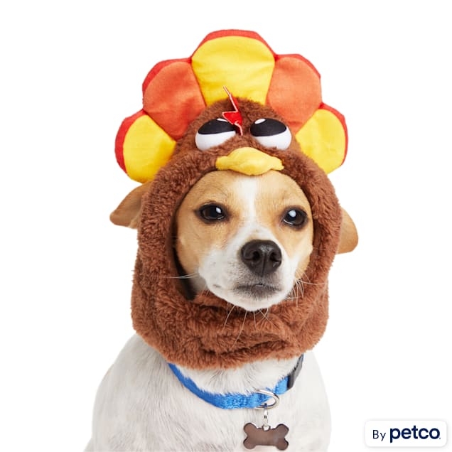 Thanksgiving dog top
