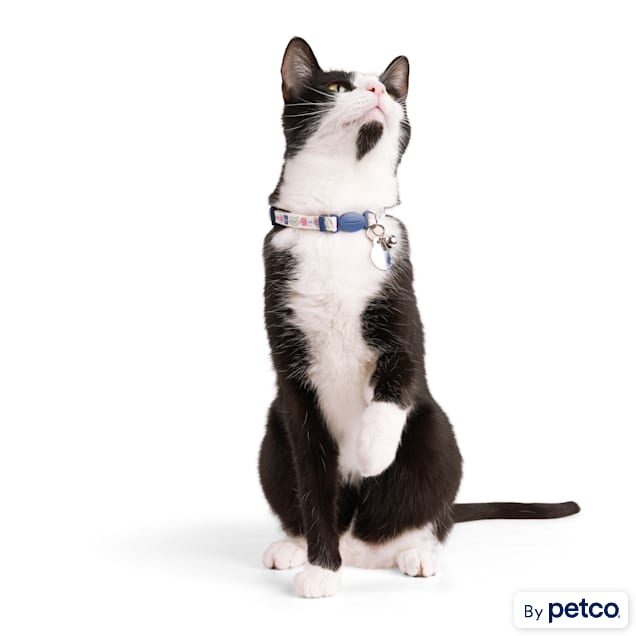 Cat top muzzle petco
