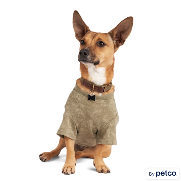 Reddy brand dog clothes sale