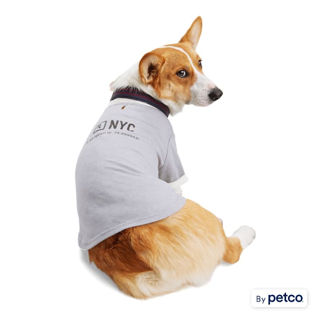 Reddy Grey Co ord Soho Dog Tee X Small Petco