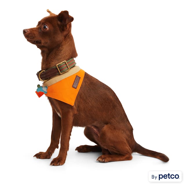 Petco bandana sales